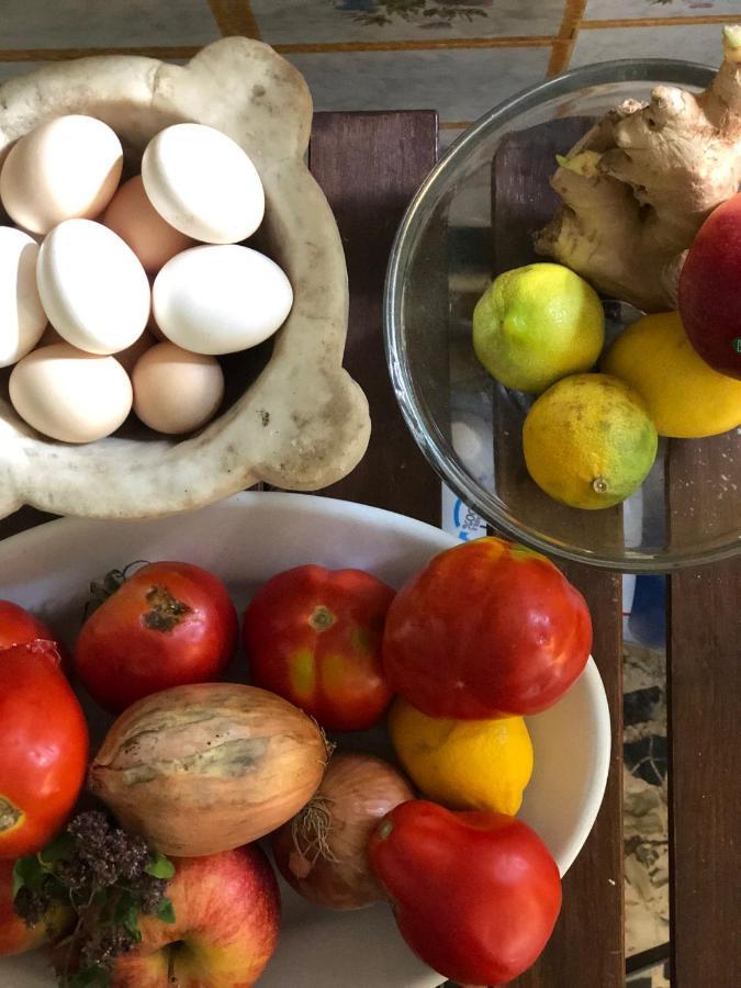 مبيت وإفطار مارينا دي ماسا Casa Cambini المظهر الخارجي الصورة