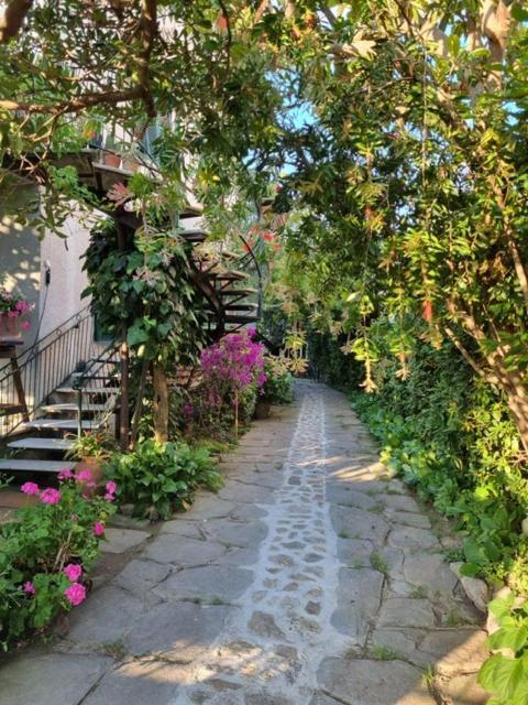 مبيت وإفطار مارينا دي ماسا Casa Cambini المظهر الخارجي الصورة